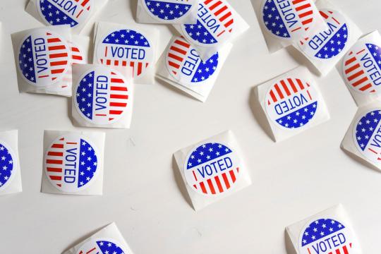 Trump's Noncitizen Voting Hunt Found Just 160 Arrests