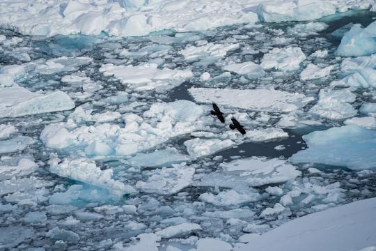 Greenland security deal heads to Tuesday UN signing under NATO watch
