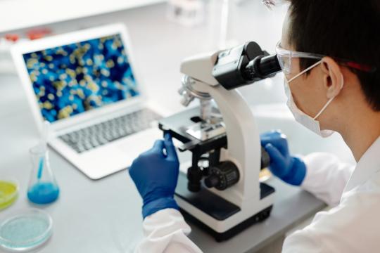 Scientists Found a "Window" to Stop Brain Metastasis Early