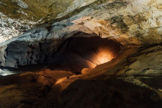 Neanderthals Were Expert Woodworkers, Ancient Shelter Reveals
