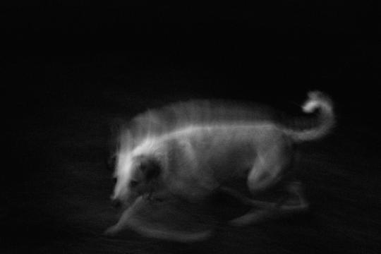 Anthropic's Claude Motion Turns Reports Into Animated Video
