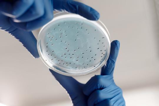 Intero Biosystems Wins Disrupt 2026 With Lab-Grown Guts