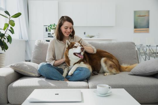 TikTok's Pet Life Story Trend Is Making the Internet Cry Together
